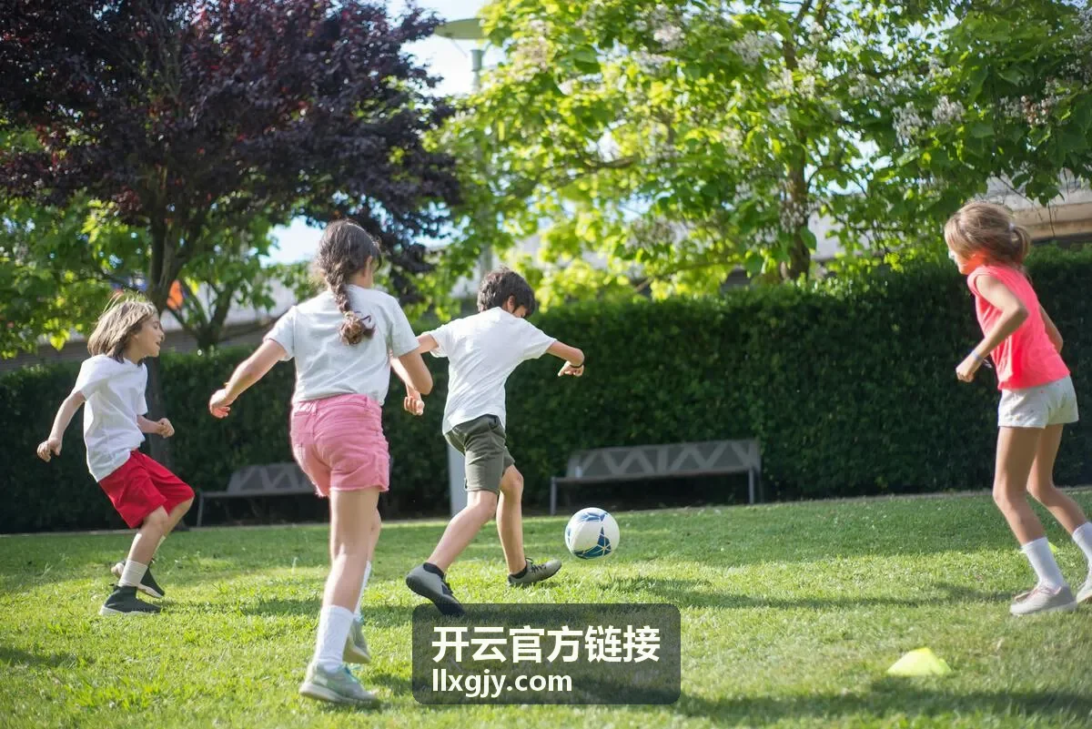 开云官方链接域名与证书信息核对的界面示意