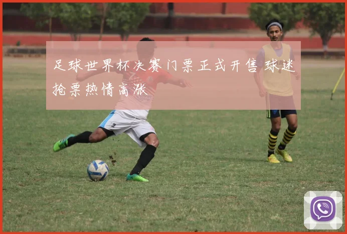 足球世界杯决赛门票正式开售 球迷抢票热情高涨